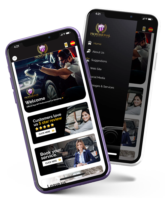Phone app screen for Professionals Detail